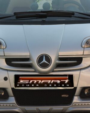 Front Grille F1 River Silver Smart Fortwo 451.