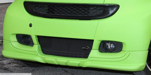 Front Spoiler Desired Color Smart Fortwo 451.