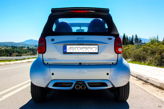 Спойлер smart 450
