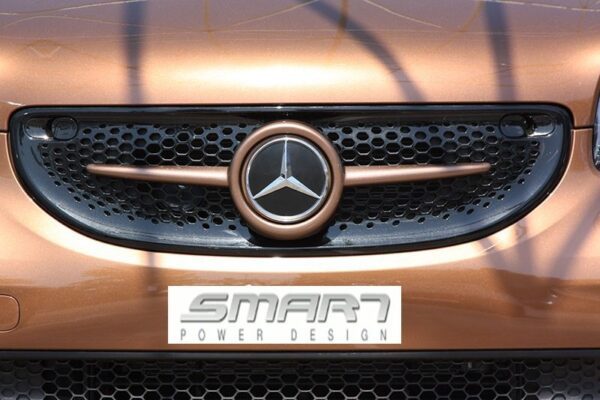 This is the Front Grille for Smart Fortwo 453. Its color is Hazel Brown Metallic and it has Mercedes Emblem.