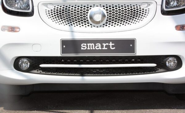 This is the Low Grill Trim, Moon White Metallic color, installed on the new Smart Fortwo 453.