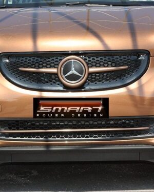 This is the new Smart Fortwo 453 in Hazel Brown Metallic color Edition. The Front Grille and the Trim Strip are also installed on it.